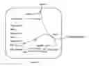 Fig. 02 - Biosynthesis of oligosaccharides
