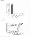 Fig. 04 - Polypeptide specifically binding to Taq DNA polymerase and use thereof