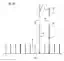 Fig. 07 - Methods of sequencing with linked fragments