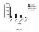 Fig. 10 - CRISPR effector system based diagnostics