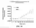Fig. 15 - CRISPR effector system based diagnostics