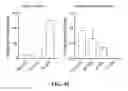 Fig. 46 - CRISPR effector system based diagnostics