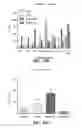 Fig. 58 - CRISPR effector system based diagnostics