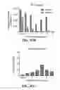 Fig. 61 - CRISPR effector system based diagnostics