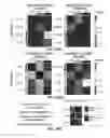 Fig. 68 - CRISPR effector system based diagnostics