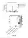 Fig. 84 - CRISPR effector system based diagnostics