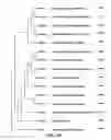 Fig. 96 - CRISPR effector system based diagnostics