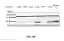 Fig. 99 - CRISPR effector system based diagnostics