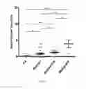 Fig. 08 - METHOD AND KIT FOR PATHOLOGIC GRADING OF BREAST NEOPLASM
