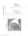Fig. 12 - METHOD AND KIT FOR PATHOLOGIC GRADING OF BREAST NEOPLASM