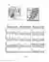 Fig. 14 - METHOD AND KIT FOR PATHOLOGIC GRADING OF BREAST NEOPLASM