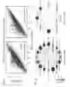 Fig. 02 - IMMUNOMODULATORY RNA