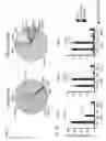 Fig. 06 - IMMUNOMODULATORY RNA