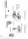 Fig. 24 - IMMUNOMODULATORY RNA