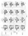 Fig. 40 - IMMUNOMODULATORY RNA