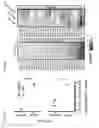 Fig. 50 - IMMUNOMODULATORY RNA