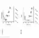 Fig. 60 - IMMUNOMODULATORY RNA