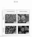 Fig. 04 - Spraying powder and method for depositing sprayed coating using the same