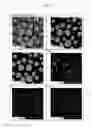 Fig. 06 - Spraying powder and method for depositing sprayed coating using the same