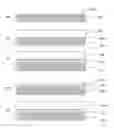 Fig. 01 - Process for indium or indium alloy deposition and article