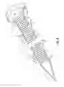 Fig. 04 - LANDSCAPE AND PAVER EDGING SPIKE