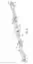 Fig. 03 - Poles for supporting satellite dishes