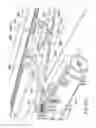 Fig. 18 - Door Drive Comprising a Main and Auxiliary Drive