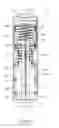 Fig. 05 - Energized Downhole Standoff
