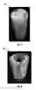 Fig. 08 - Polyurethane foamed annular chemical packer