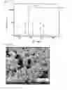 Fig. 09 - INTERNAL COMBUSTION ENGINE COMPONENT AND PRODUCING METHOD THEREFOR