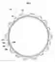Fig. 05 - Annular member stopping structure for friction engaging device