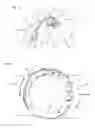 Fig. 02 - Safety coupling
