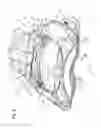Fig. 08 - Disc brake and set of brake pads