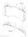 Fig. 16 - Disc brake and set of brake pads