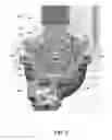 Fig. 08 - Structure and method of assembling a differential assembly
