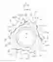 Fig. 01 - Bicycle rear sprocket