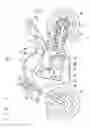 Fig. 02 - Rotation position detection device for change drum and motorcycle