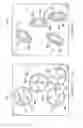 Fig. 08 - Oblong diaphragm valves