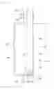 Fig. 11 - Refrigerator and manufacturing method therefor