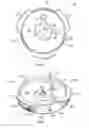 Fig. 04 - Quick release adapter for devices