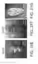 Fig. 49 - METHODS AND APPARATUS FOR SPECKLE-FREE OPTICAL COHERENCE IMAGING