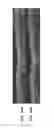 Fig. 52 - METHODS AND APPARATUS FOR SPECKLE-FREE OPTICAL COHERENCE IMAGING