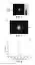 Fig. 05 - Transmission small-angle X-ray scattering metrology system