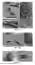 Fig. 05 - Cell-based composite materials with programmed structures and functions