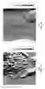 Fig. 10 - Cell-based composite materials with programmed structures and functions