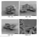 Fig. 12 - Cell-based composite materials with programmed structures and functions