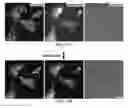 Fig. 13 - Cell-based composite materials with programmed structures and functions