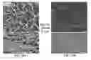 Fig. 15 - Cell-based composite materials with programmed structures and functions
