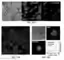 Fig. 16 - Cell-based composite materials with programmed structures and functions
