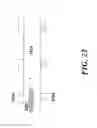 Fig. 49 - Apparatus for detecting tumor cells